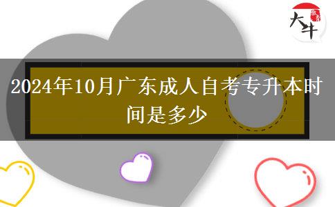 2024年10月广东成人自考专升本时间是多少