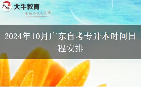 2024年10月广东自考专升本时间日程安排