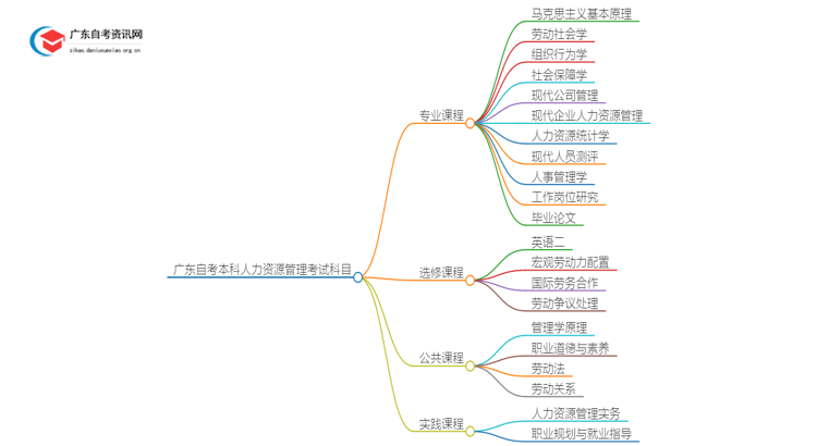 广东自考本科人力资源管理专业有哪些考试科目？思维导图