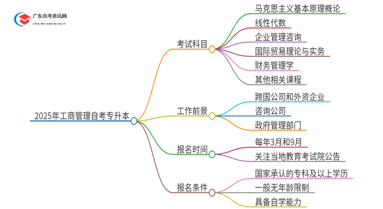 2025年工商管理自考专升本需要考些什么科目思维导图