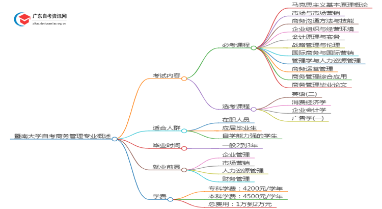 暨南大学自考商务管理考哪些内容（+课程表）思维导图