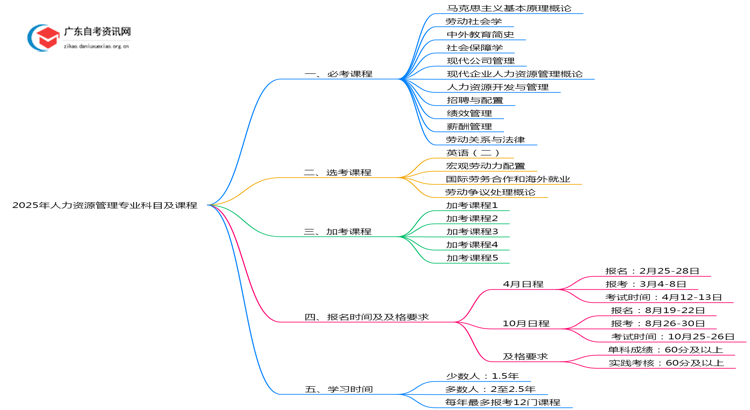 2025年人力资源管理专业科目及课程（详表）思维导图